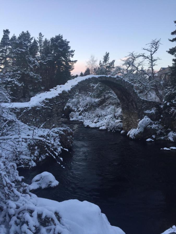 81 The Heathers, Aviemore Holiday Park , Dalfaber Rd Aviemore Ph22 1Px エクステリア 写真